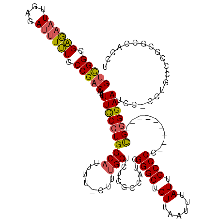 secondary structure