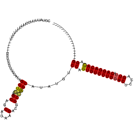 secondary structure