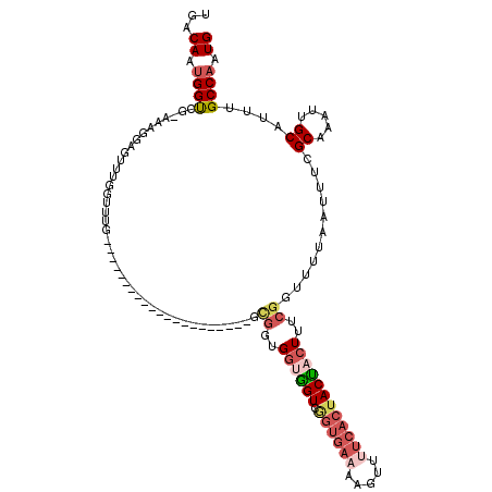 secondary structure
