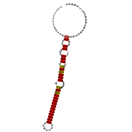 secondary structure