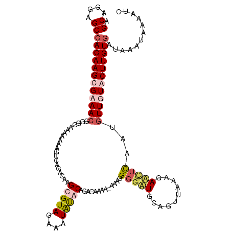 secondary structure