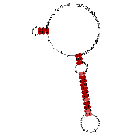 secondary structure