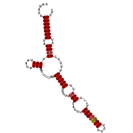 secondary structure