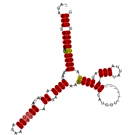 secondary structure