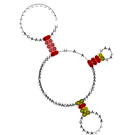 secondary structure