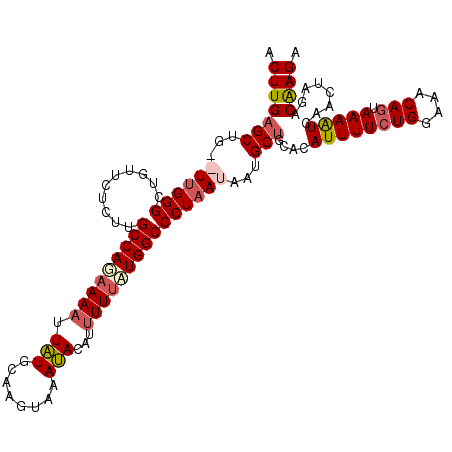 secondary structure