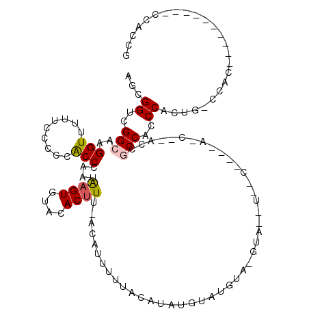 secondary structure