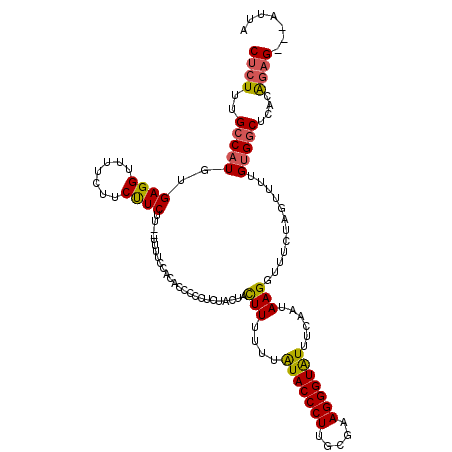 secondary structure