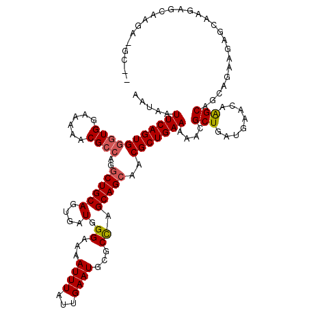 secondary structure