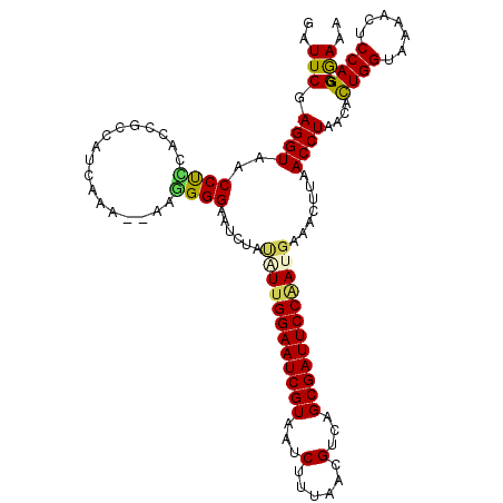 secondary structure