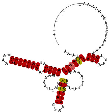 secondary structure