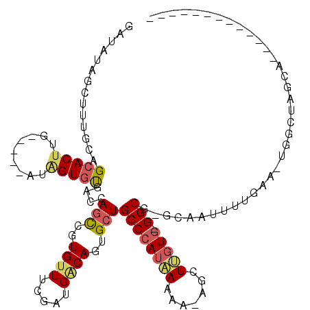 secondary structure