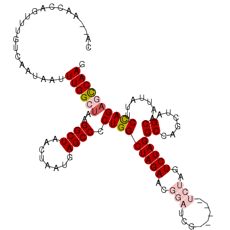 secondary structure