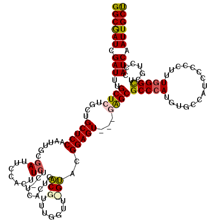 secondary structure