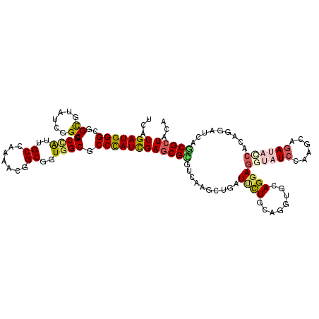 secondary structure