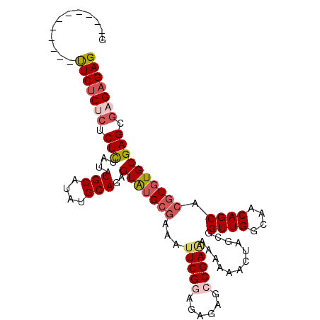 secondary structure