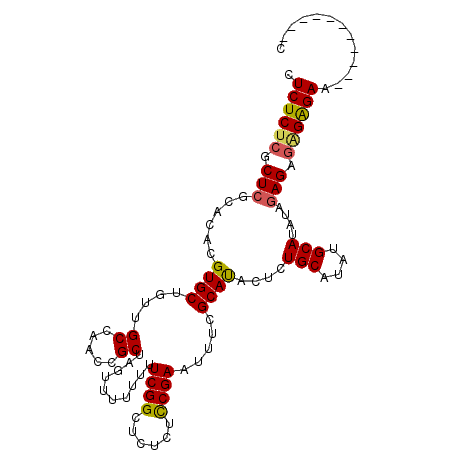 secondary structure