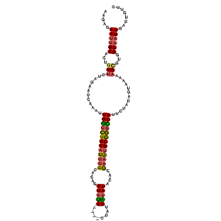 secondary structure