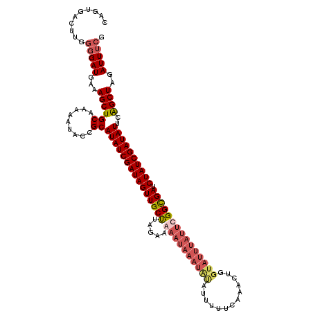 secondary structure