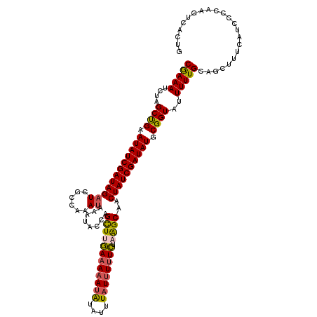 secondary structure