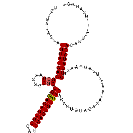 secondary structure
