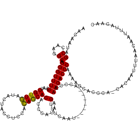 secondary structure