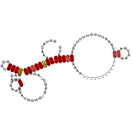 secondary structure