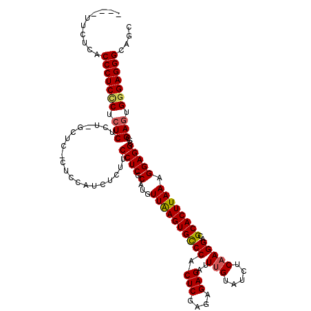 secondary structure