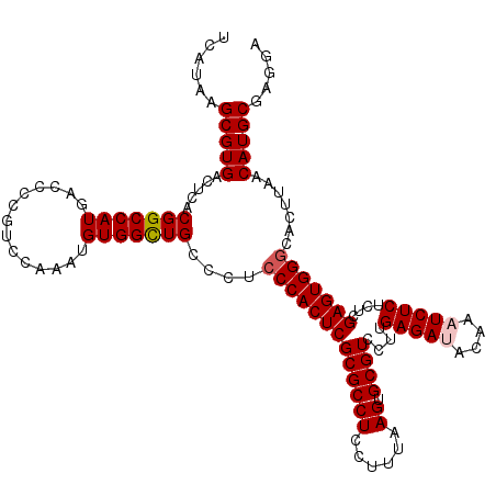 secondary structure