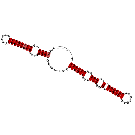 secondary structure