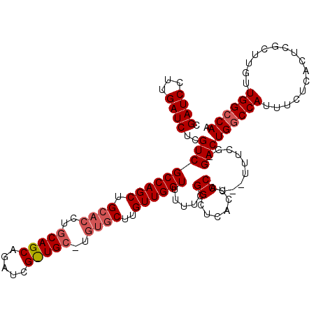 secondary structure