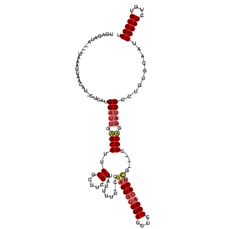 secondary structure