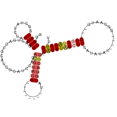 secondary structure