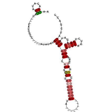 secondary structure