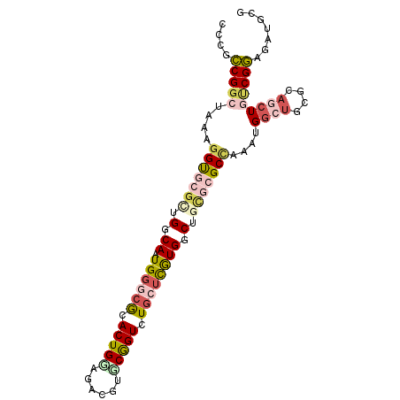 secondary structure