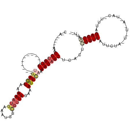 secondary structure