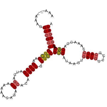 secondary structure
