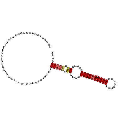 secondary structure