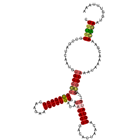 secondary structure