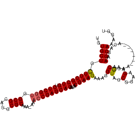 secondary structure