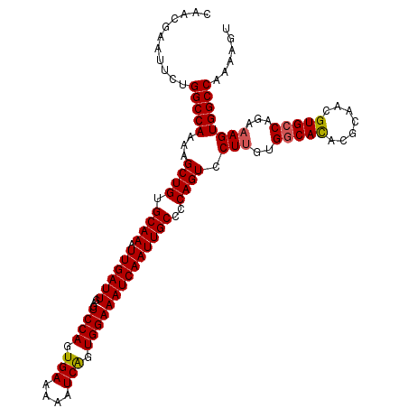 secondary structure