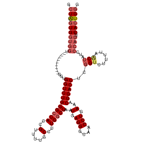 secondary structure