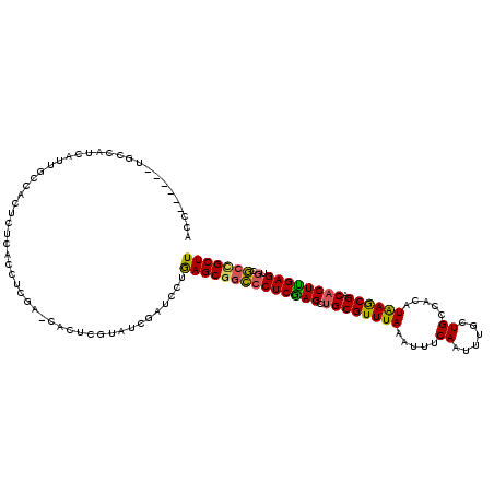 secondary structure