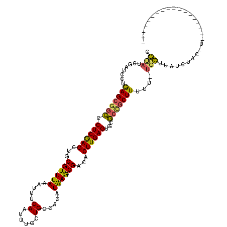 secondary structure