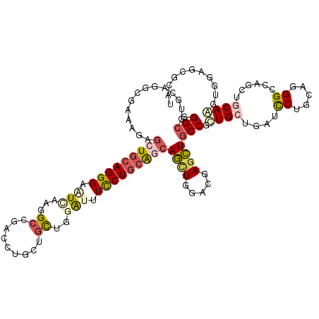 secondary structure