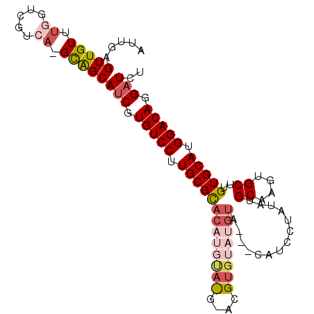 secondary structure