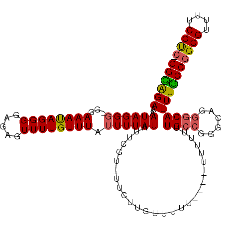 secondary structure