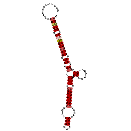 secondary structure