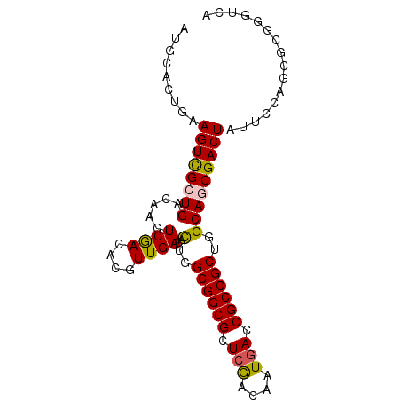 secondary structure