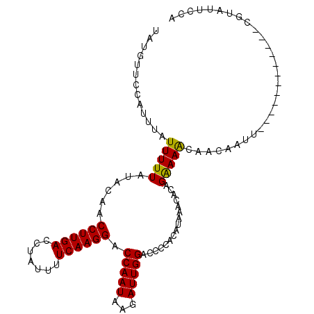 secondary structure